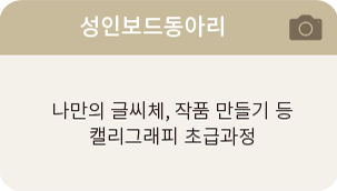 성인보드