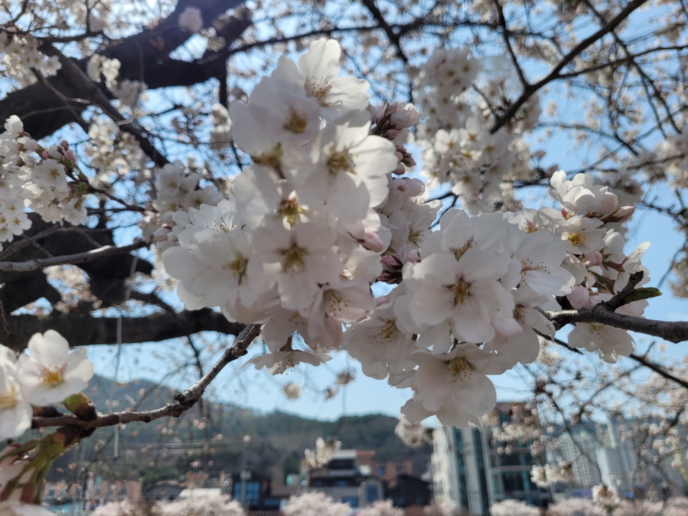 KakaoTalk_20230329_163845943_12.jpg