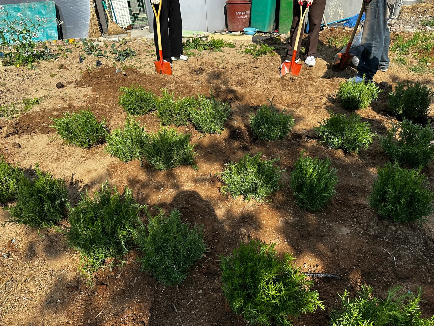 KakaoTalk_20250502_091714500.jpg