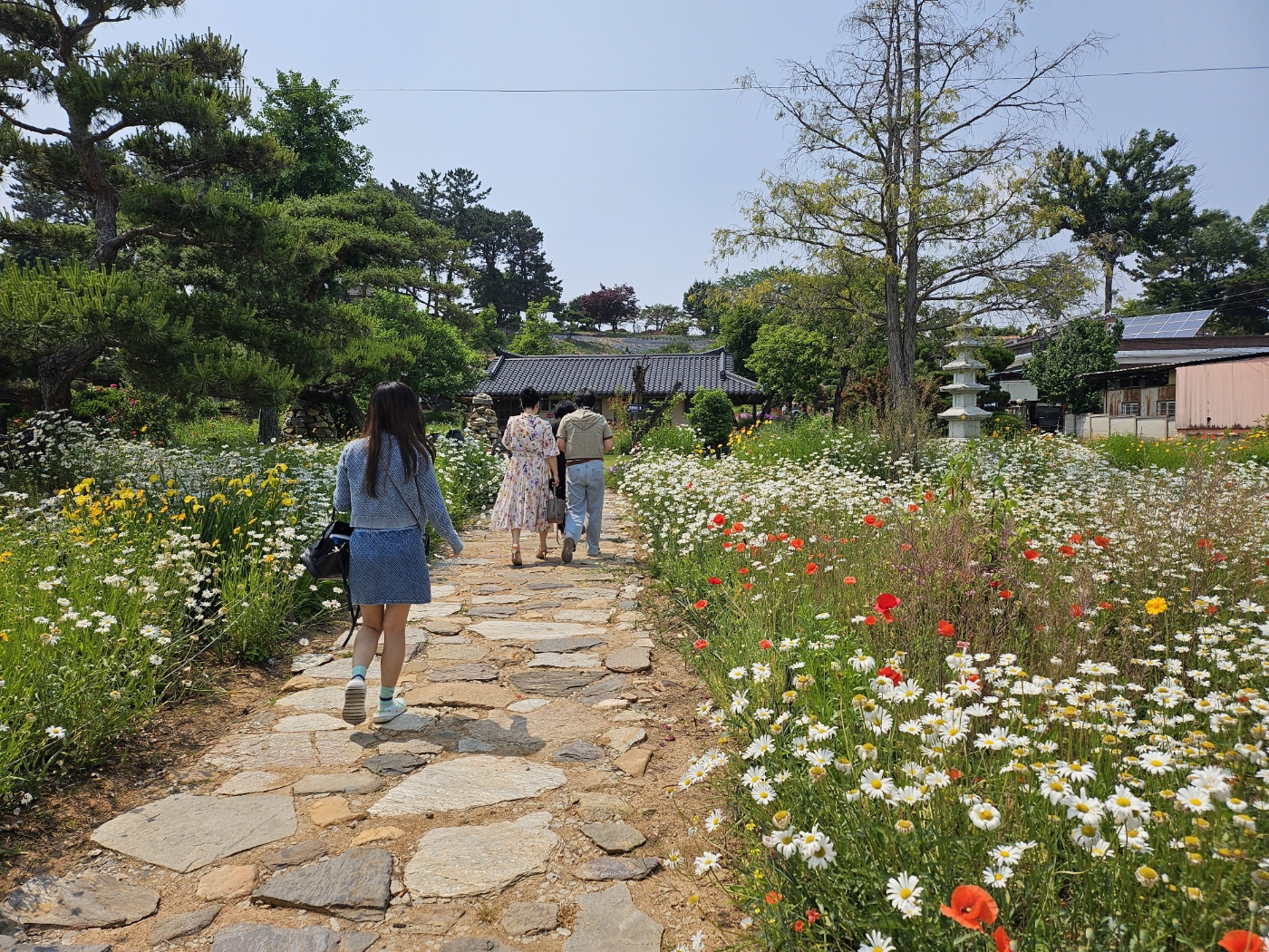 KakaoTalk_20250602_095106295_05.jpg