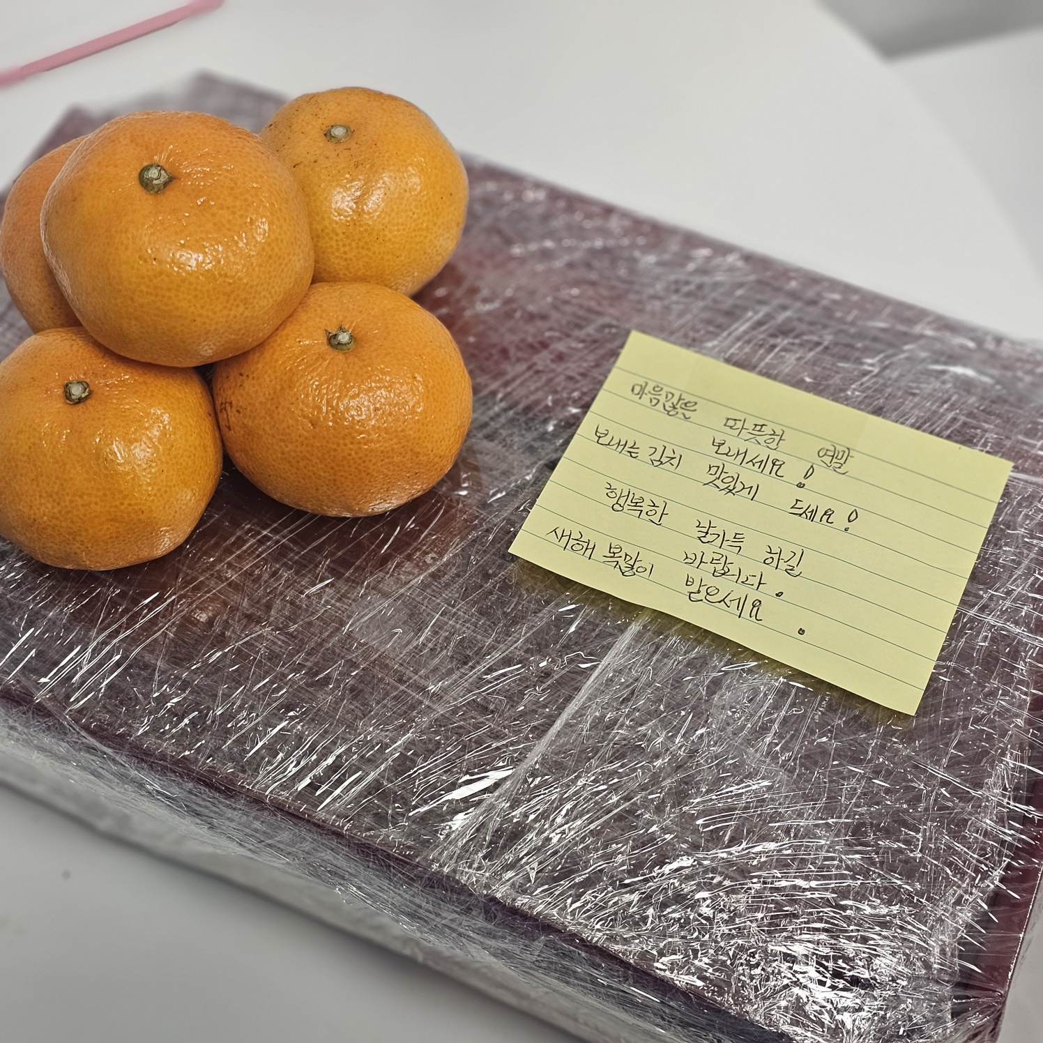 KakaoTalk_20251223_100059253_02.jpg