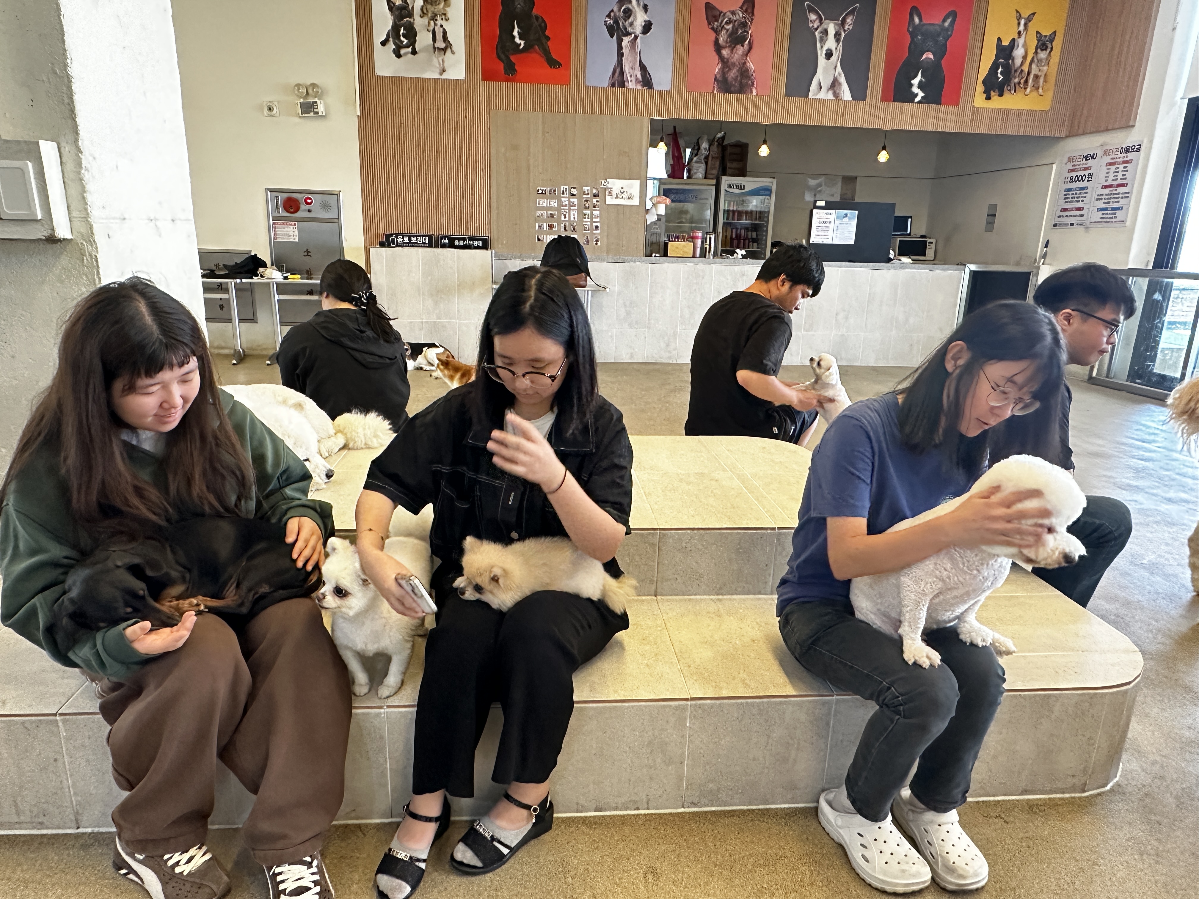 KakaoTalk_20260612_170951331.jpg